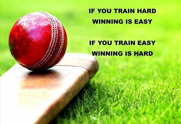 Top 20 cricket lover quotes — Cricket win quotes