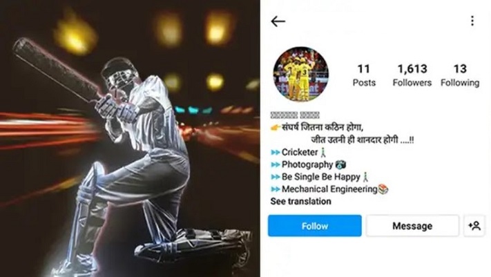 Example with Instagram bio of cricket lover on Hindi and English