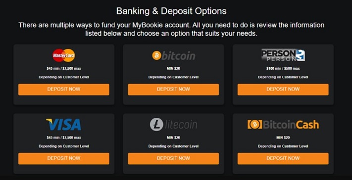 If your bets are successful, you can withdraw your winnings in Bitcoin