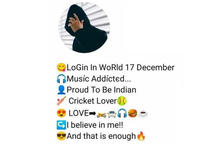 Here is the simple Instagram bio of Indian cricket lover