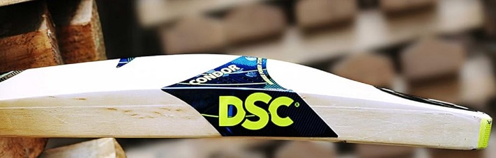 Top cricket bat brands in India — DSC Condor Scud is one from the list