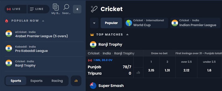 eCricket World Cup can happen every day (as well as other matches from different leagues that the bookmaker comes up with)